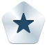 Silver Badge